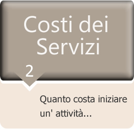 commercialista online | costi dei servizi